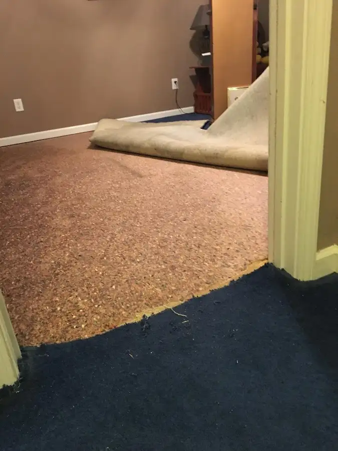 Carpet pad removal revealing water damage during Water Mitigation Services in Roseland