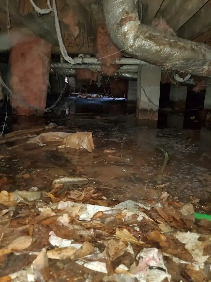 Crawl space flood assessment for Leak Detection & Repair in Roseland