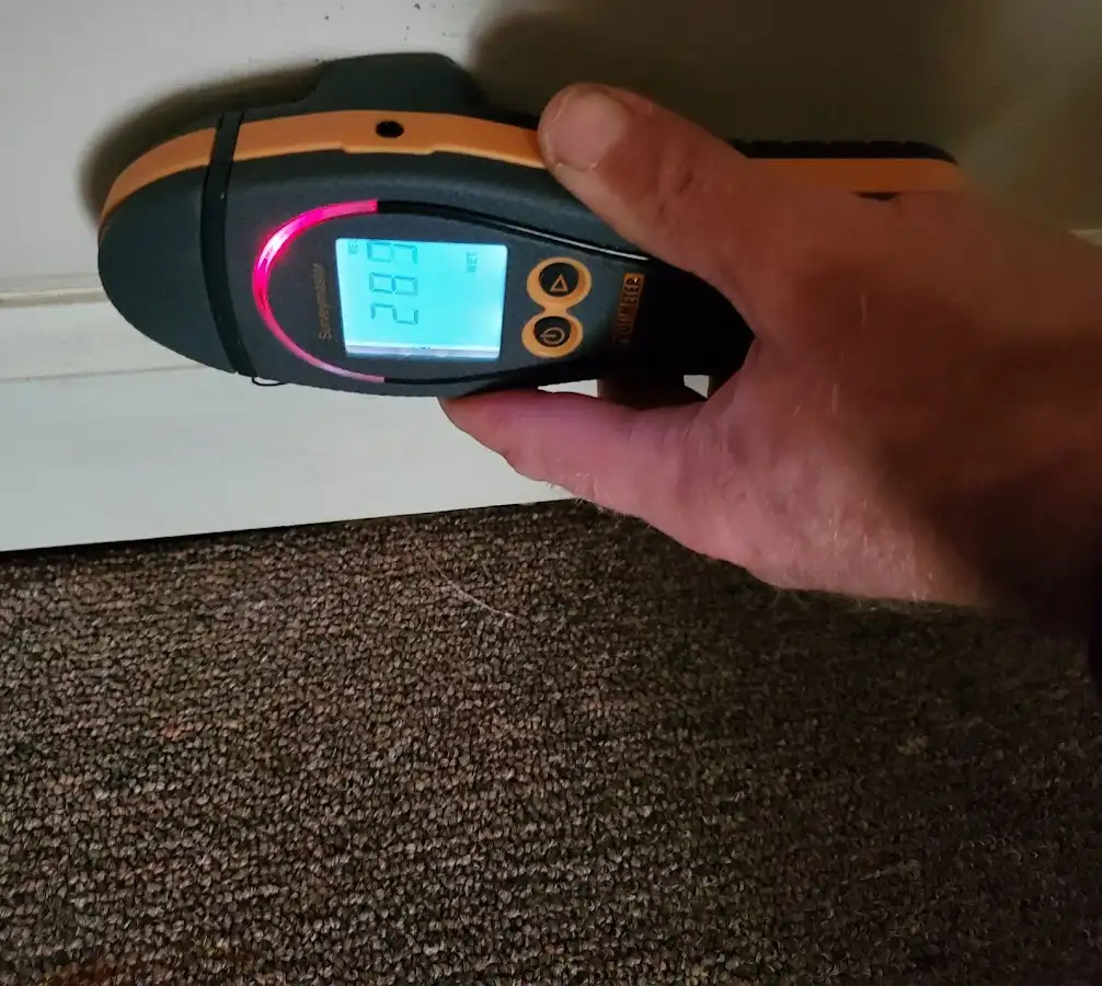 Moisture detection at baseboard during Mold Inspection & Testing in Roseland