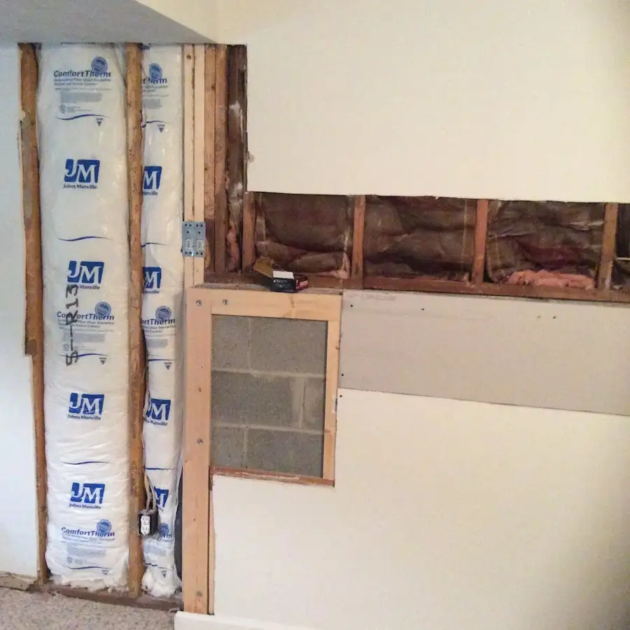 Wall insulation replacement during Basement Flood Cleanup in Roseland